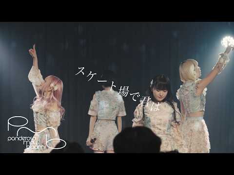 ponderosa may bloom - Winter Lights (Live MV) - YouTube