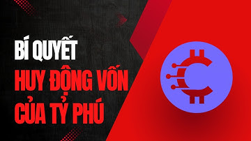 Bí Quyết Huy Động Vốn Của Các Tỷ Phú | Cách Người Giàu Sử Dụng Tiền Của Người Khác Để Làm Giàu