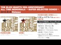 [試聴] THE STARBEMS 「チェインギャング」(THE BLUE HEARTS トリビュート収録)