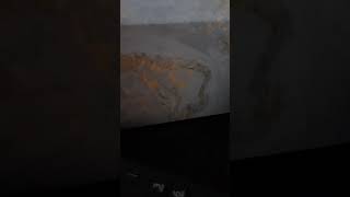 Periscope Story Time