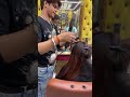 Highlight 16:20 – 21:20 from Hair Brother is live