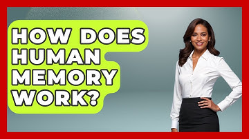 How Does Human Memory Work? - Special Education Learning