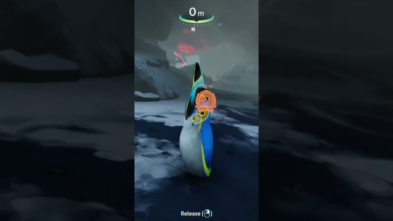 Sorry I've never fed a penguin before