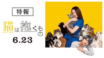 映画『猫は抱くもの』特報