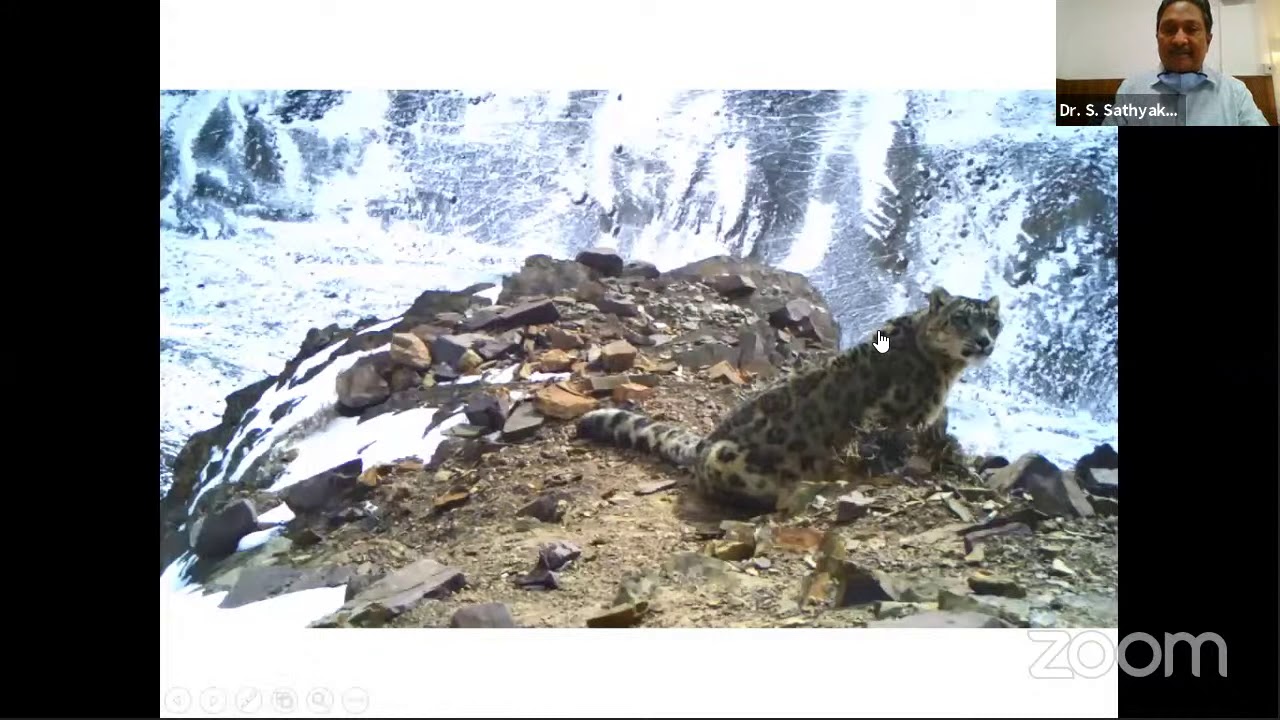 Webinar on Snow Leopard Conservation