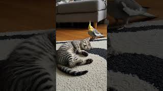 When You Fall Asleep And Your Friend Starts Plotting