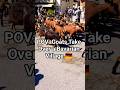Germany Has Goat Parades?! 🐐 #travel #germany  #shorts 😇 #alp