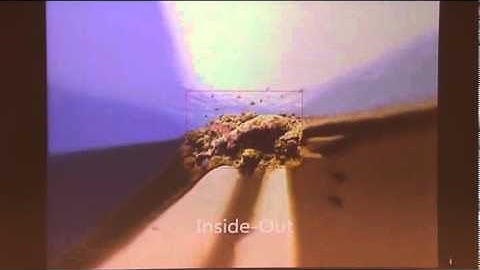 Multiscale Ultrawide Foveated Video Extrapolation