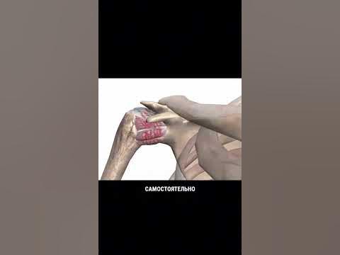 Адгезивный капсулит плечевого сустава узи. МРТ при адгезивном капсулите плечевого сустава УЗИ суставной губы плечевого сустава и ее кисты Артроз плечевого сустава — лечение в Ростове-на-Дону | Цены и отзывы