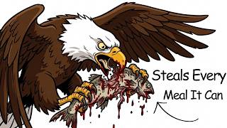 Why It Sucks To Be Born As a Bald Eagle