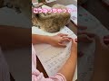 保護猫の新しく始まった日常が愛おしい…#shorts #cute #kitten