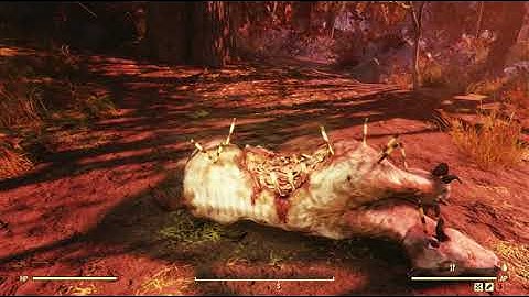 The Forest Region Object Random Encounter Hotspot #05 - Fallout 76