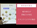 研究員レクチャー　 蘇 智慧（系統進化研究室）