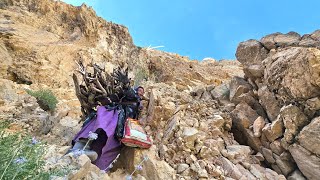 🍑🏔️ Ismat’s Dangerous Cliff Fall in the Zagros | Mountain Survival & Wild Peach Harvest