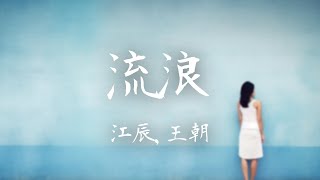 江辰,王朝 -《流浪》｜的確怪我當時太傻 總是一味的說出難聽話【動態歌詞Lyrics】