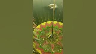 skill dewa tong setan @ Sekaten Surakarta