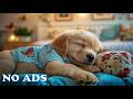 12 Hours of Dog Sleep Therapy Music 🐶 Dog Relaxation Music 🌙 Peaceful Tunes for Healing Dog Sleep