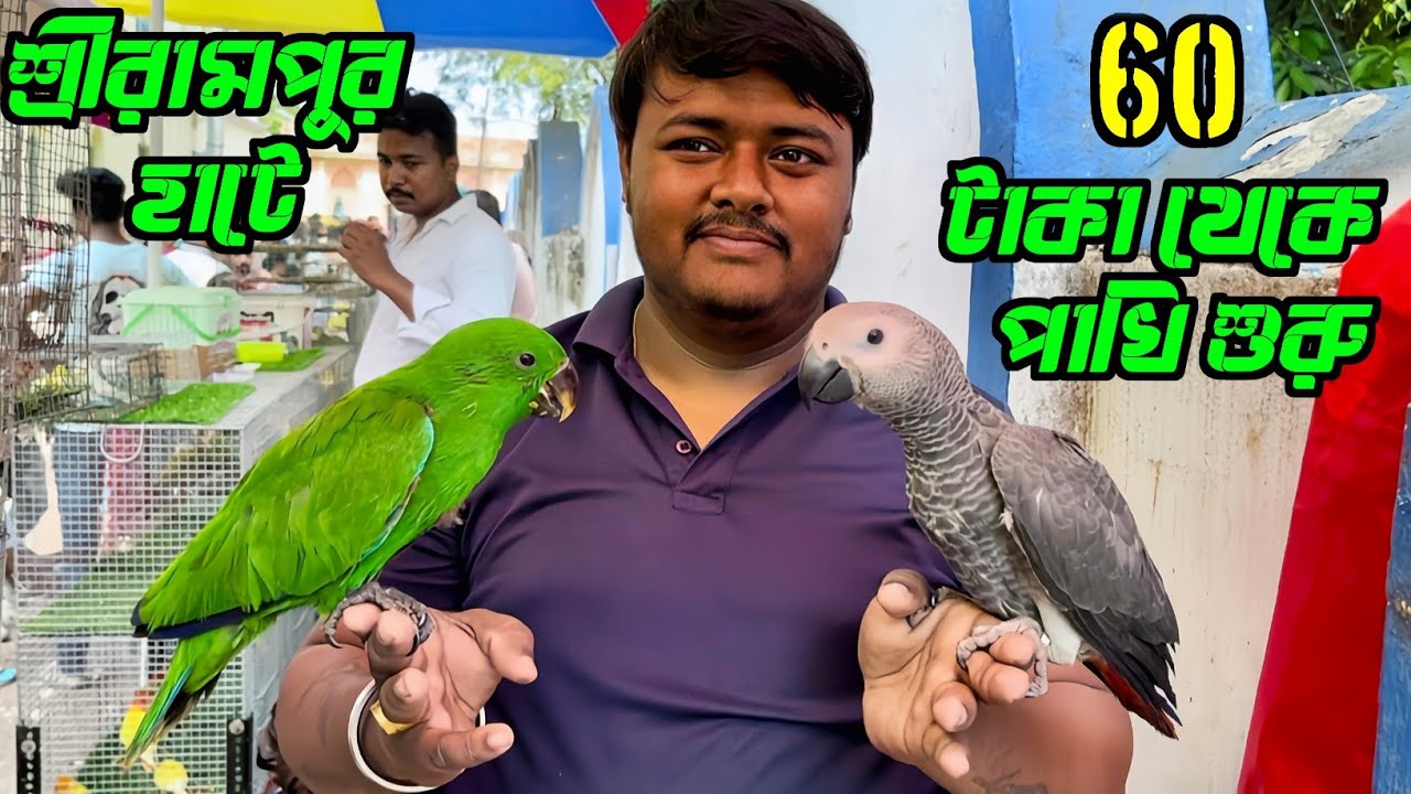 60 টাকায় পাখি কিনুন শ্রীরামপুর হাটে। Serampore Pet Market। Bird Market in Kolkata।