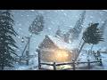 99,9% of You Will Fall Asleep with WINTER SNOWSTORM SOUNDS | Calm Polar Blizzard Drift 2026
