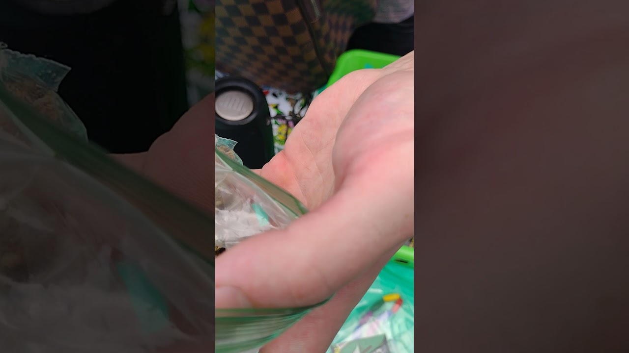 strain review videos Hempfest 2021