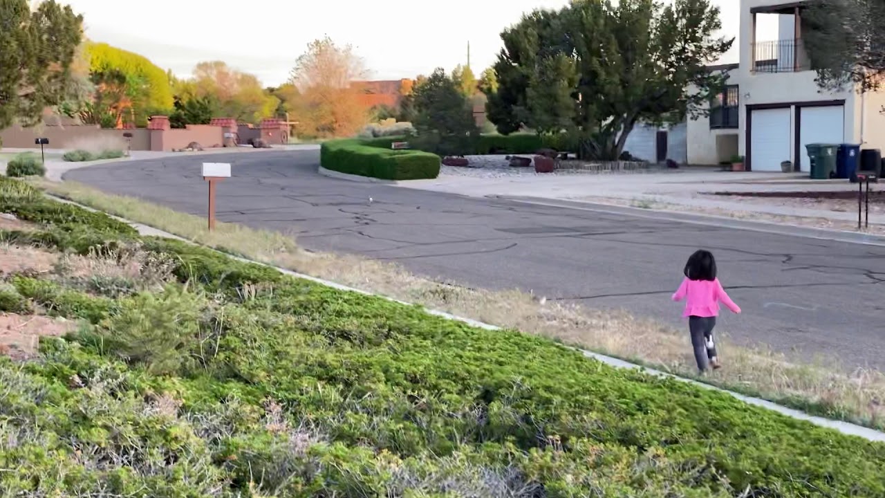 Baby chases wild rabbits - YouTube