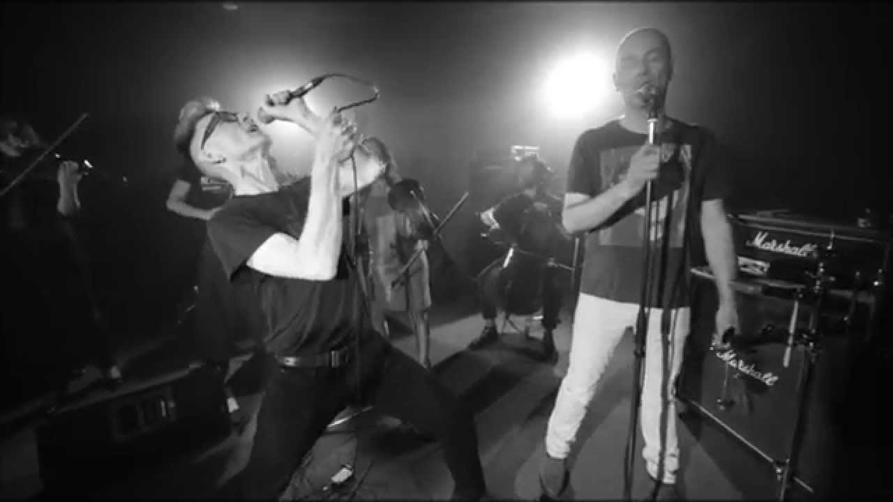 Angelfish decay - Walkabout