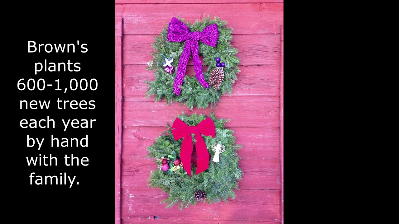 Brown's Tree Farm YouTube