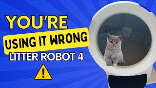 You Will Never Look at The Litter Robot - 4 the Same After This