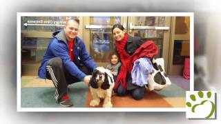 Pet Adoption | Ann Arbor, MI- Humane Society of Huron Valley