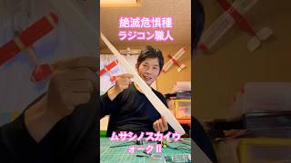 大ちゃんのラジコン飛行機　ハンドランチをモグラに改造