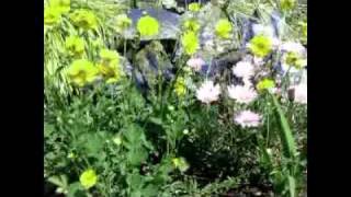 To Your Inner Light part 1