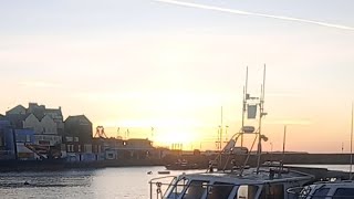 Mikey Zee is live fishing off Bridlington harbour UK looking out for dolphins and other sealife