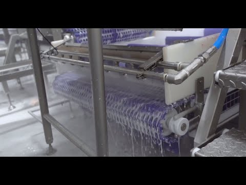 QJS Automatic Cleaning Disinfection Systems in Fish Processing Factory