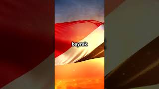 Nüfusu 27 Kişi Olan Ülke Sealand Deni̇z Adasi Cumhuri̇yeti̇