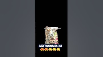 rare labubu mil gya 😍😀😀😃😃🤩 #funk #funkopop #remix #funko #music #funny #experimentalphonk #art
