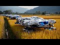 新地球稻米收割 | New Earth Rice Harvested.
