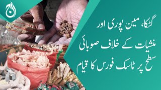 Cracking down on gutka, mainpuri and narcotics: Province-wide task force establishment - Aaj News