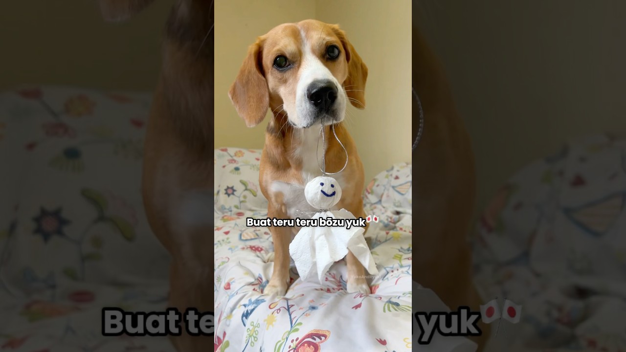 RYUKI BUAT BONEKA JEPANG TERU TERU BOZU PENANGKAL HUJAN‼️🇯🇵😍 