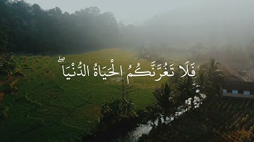 راحة نفسية ❤️ حالات واتس اب قرآن كريم/ بصوت أحمد النفيس/ حالات واتس اب دينية ❤️🌿
