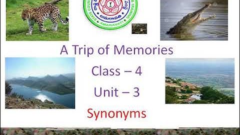 Synonyms A Trip of Memories Class 4 Unit 3 APSCERT  English Useful for TET/DSC Vocabulary