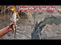 صيد سمك البني والكارب في العماره الجزء 2 Fishing In Iraq 