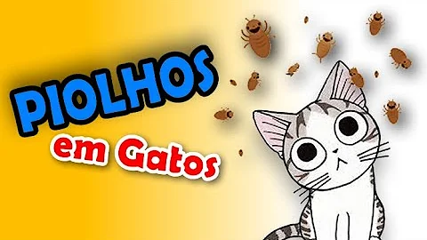 Como acabar com piolhos de gato?