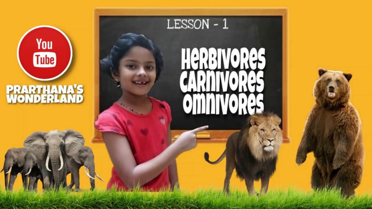 What is Herbivores , Carnivores and Omnivores | Classification of