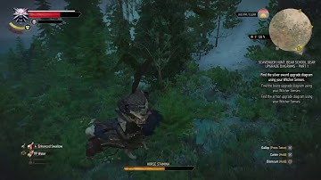 The Witcher 3 Roach glitch