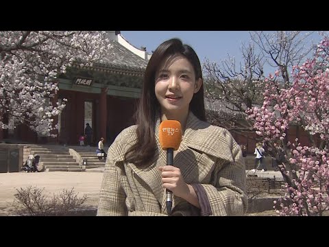 [날씨] 휴일 내륙 맑고 동해안 비…곳곳 황사 영향 / 연합뉴스TV (YonhapnewsTV)