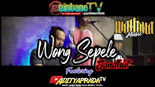 Download lagu Wong Sepele (Cover) Wahana music jandhut feat adityaprada TV