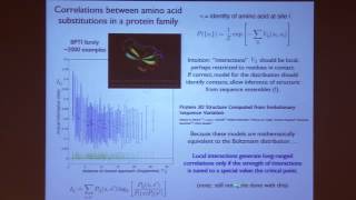 Willliam Bialek: Are Biological Networks Poised at Criticality