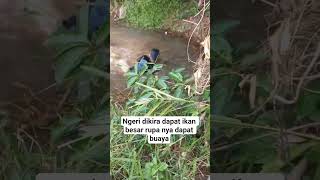 Ngeri Dikira Dapat Ikan Besar Rupa Nya Dapat Buaya シ゚Viral