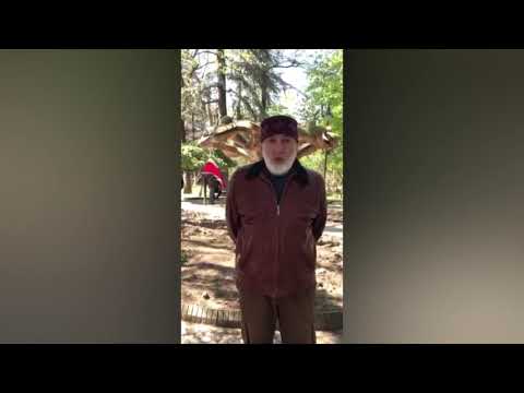 9 აპრილის ტრაგედიიდან 31 წელი გავიდა