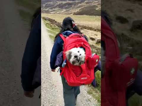 Hillwalking with mum